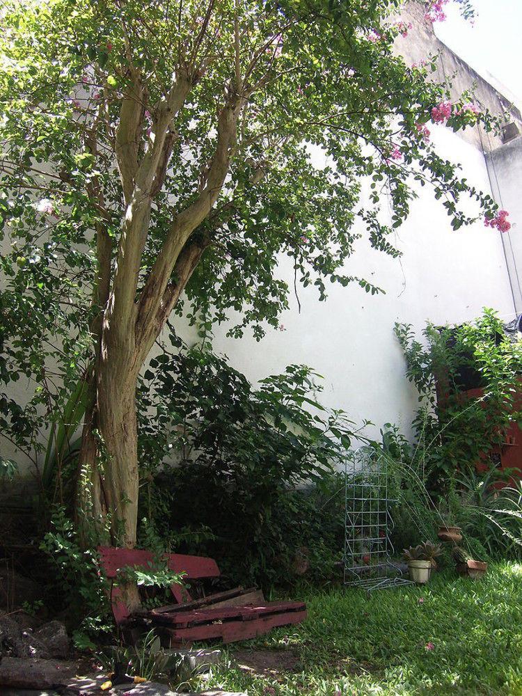 La Lechuza Hostel Rosario Exteriör bild
