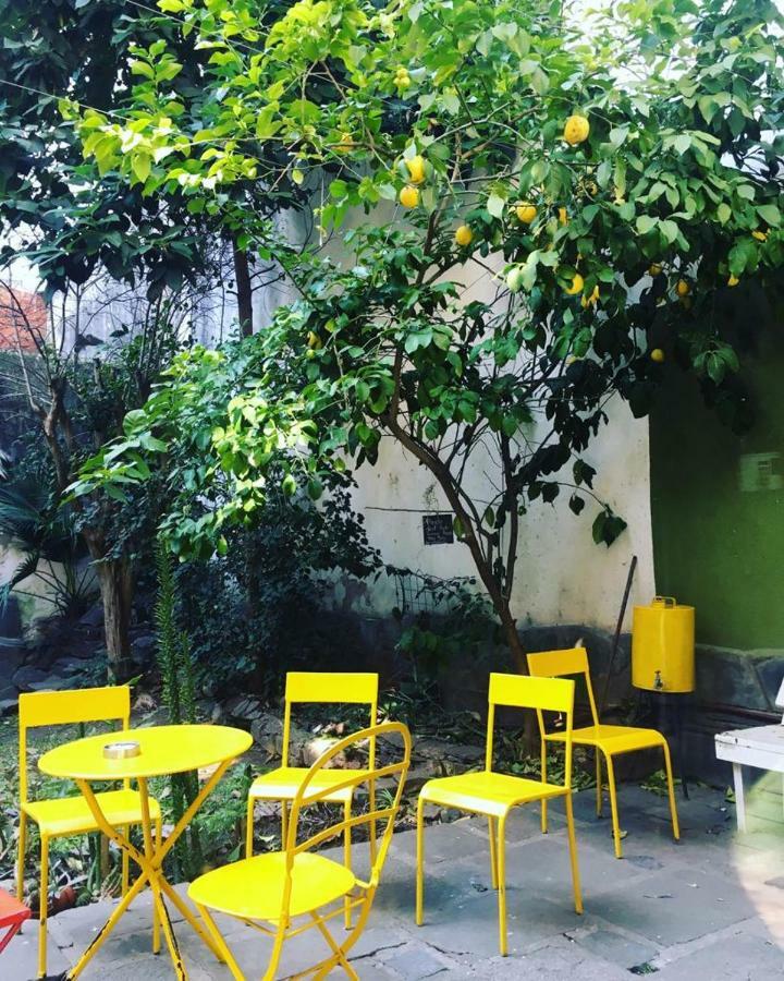 La Lechuza Hostel Rosario Exteriör bild